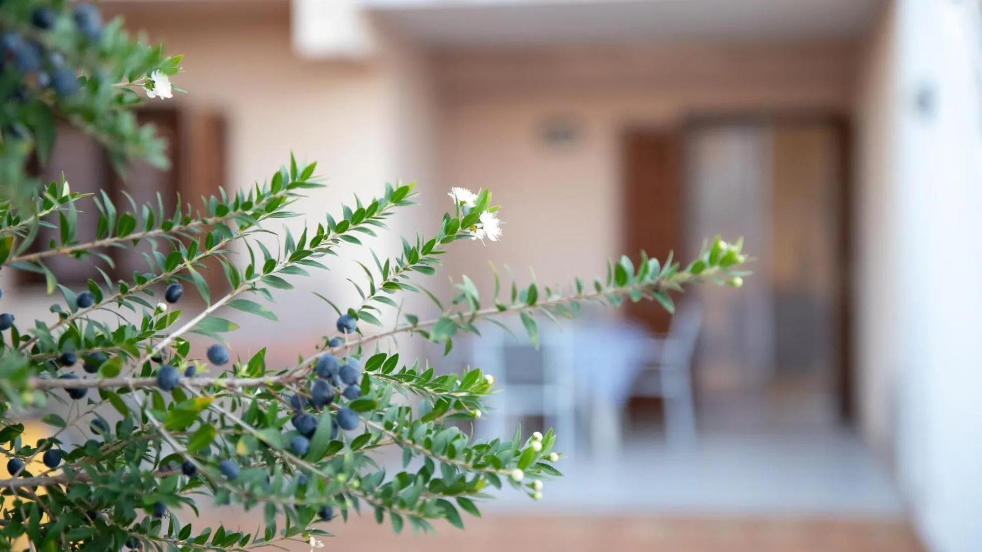 דירות מרינה די רגוזה Rosy House
